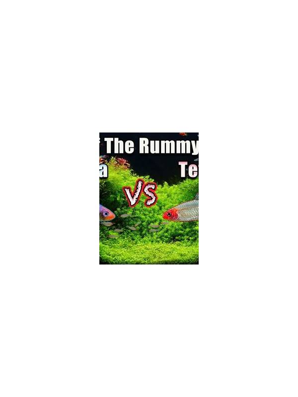 Rummy Comparison: Fast Finish Versus Low Exposure